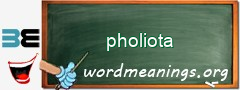 WordMeaning blackboard for pholiota